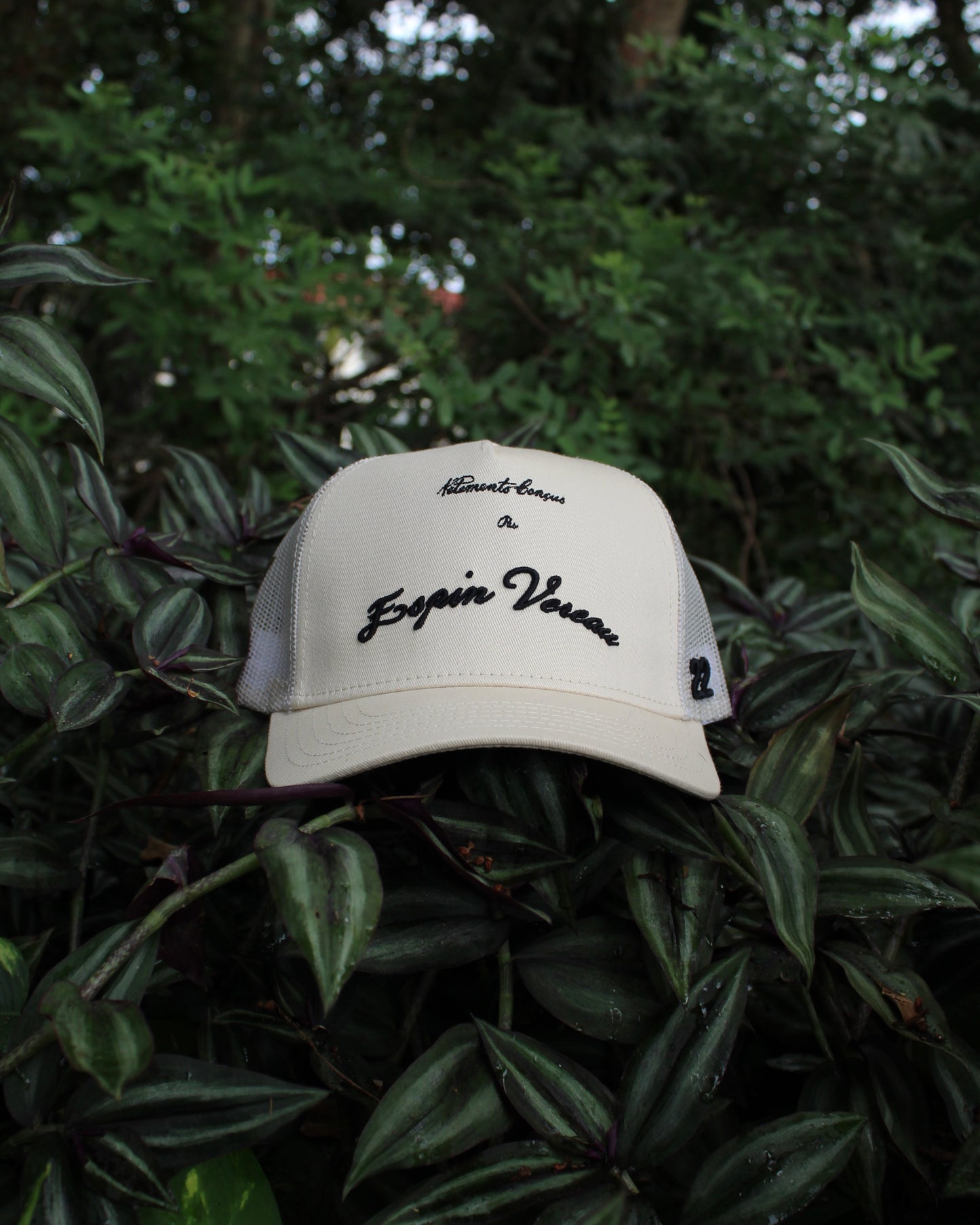 Espin Vereau Sand Trucker